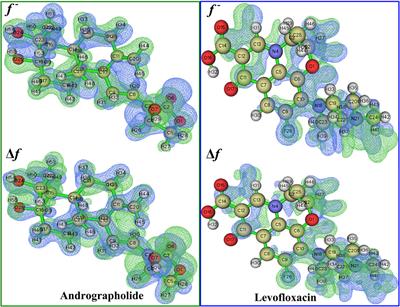 Study of andrographolide bioactivity against Pseudomonas aeruginosa based on computational methodology and biochemical analysis